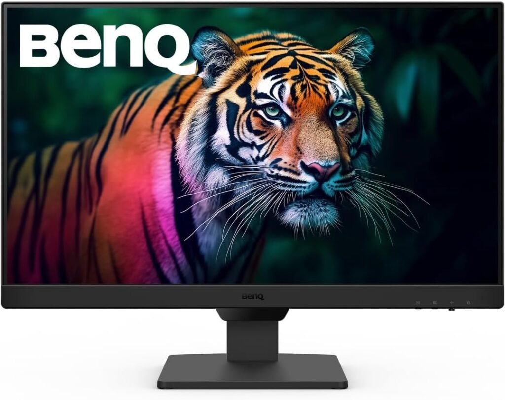 BenQ Monitor GW2490